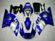 1998-2002 Blue Yamaha YZF R6 Motorcycle Fairing Kits 1998-2002 Blue Yamaha YZF R6 Motorcycle Fairing Kits