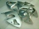 2000-2002 Silver Kawasaki ZX6R Replacement Fairings