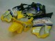 2001-2003 Yellow Silver Nastro Azzurro Honda CBR600 F4i Motorcylce Fairings 2001-2003 Yellow Silver Nastro Azzurro Honda CBR600 F4i Motorcylce Fairings