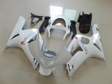 Abs 2003-2004 White with Silver Decals Kawasaki ZX6R Motorcycle Fairings