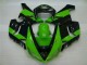 2005-2006 Green Black Kawasaki ZX6R Motorbike Fairing