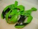 2007-2008 Green Black Dunlop Kawasaki ZX6R Motorbike Fairing Kits 2007-2008 Green Black Dunlop Kawasaki ZX6R Motorbike Fairing Kits